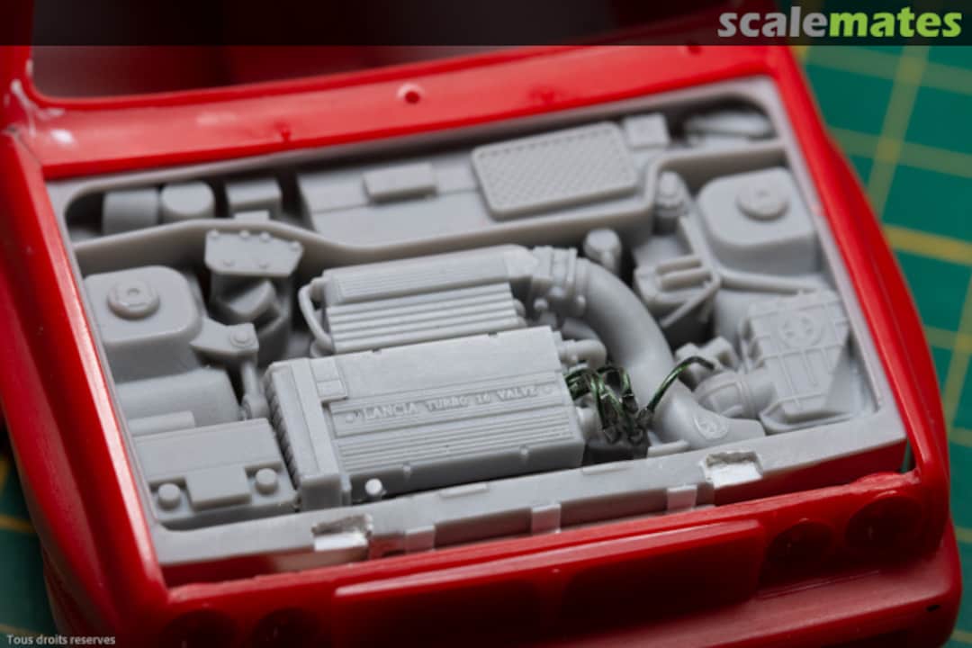 View album, image #1 View album, image #1