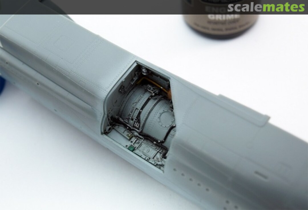 View album, image #1