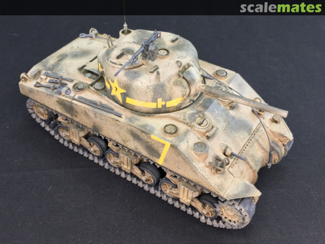 View album, image #8 View album, image #8