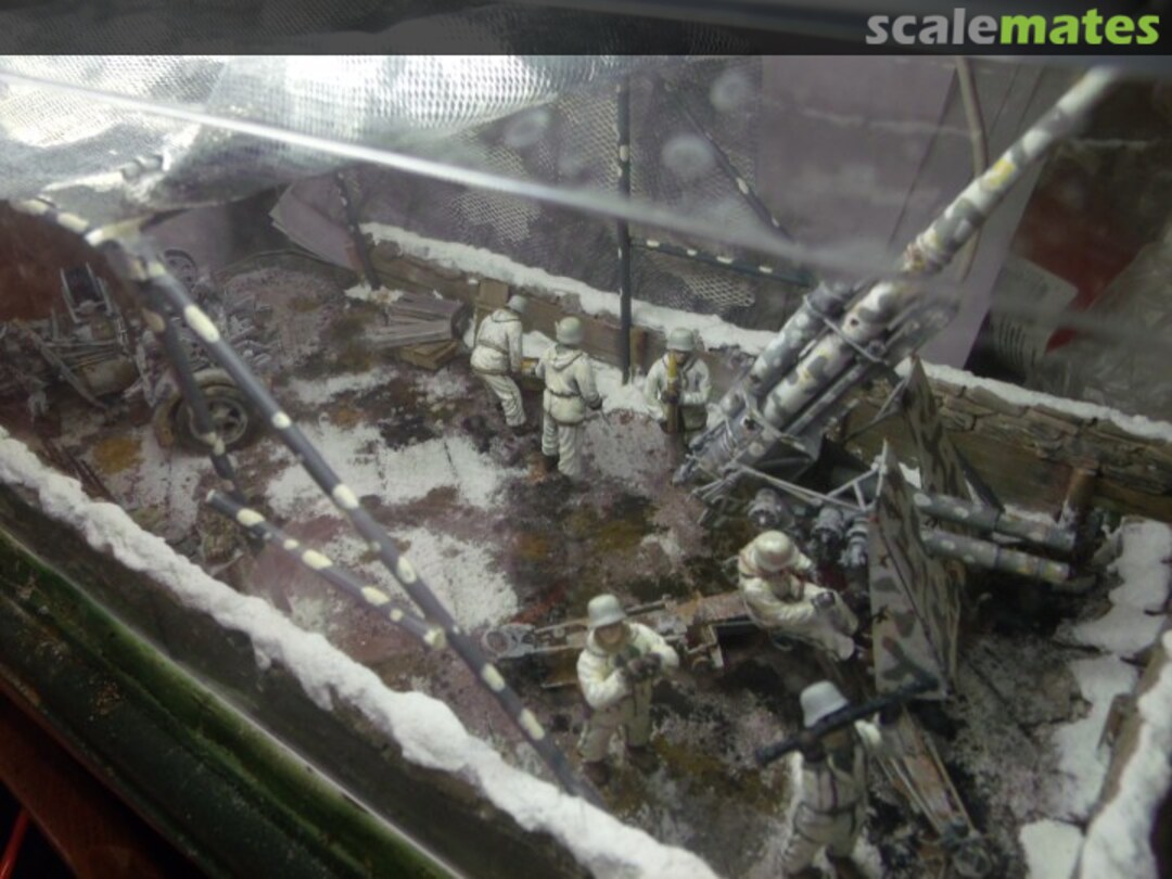 View album, image #7 View album, image #7