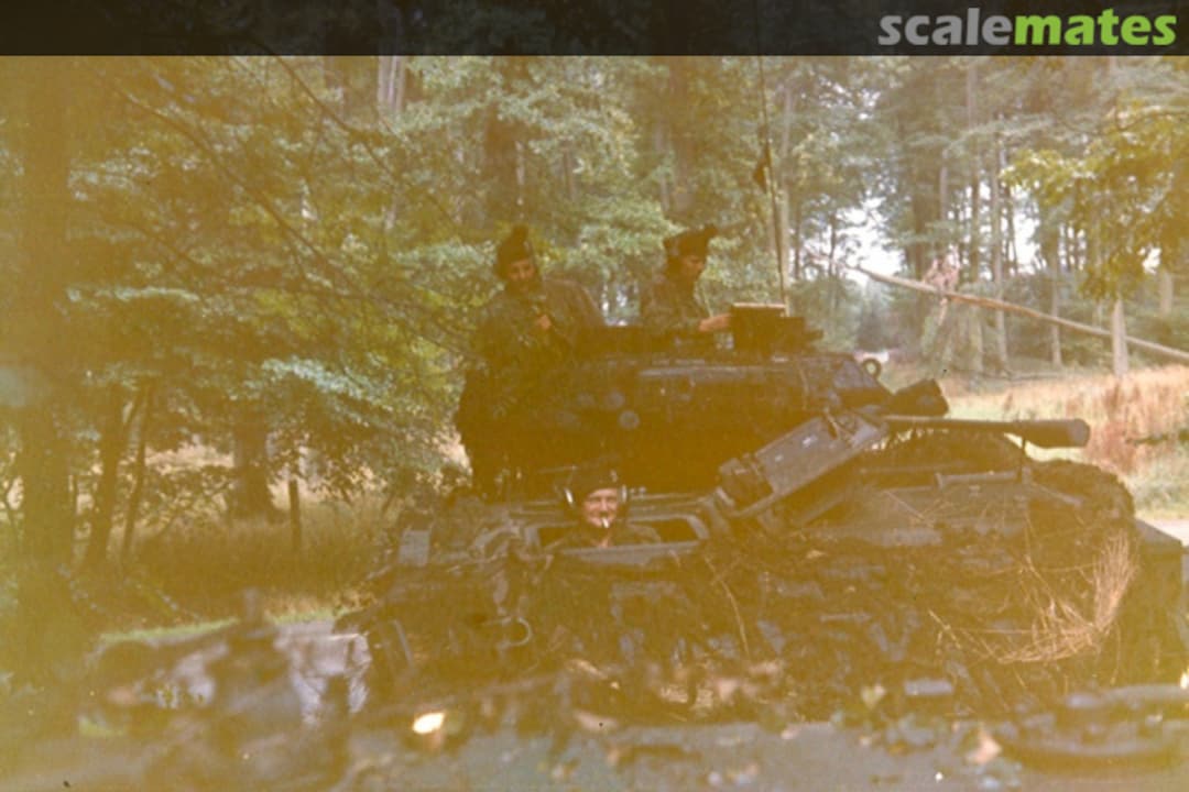 View album, image #1 View album, image #1