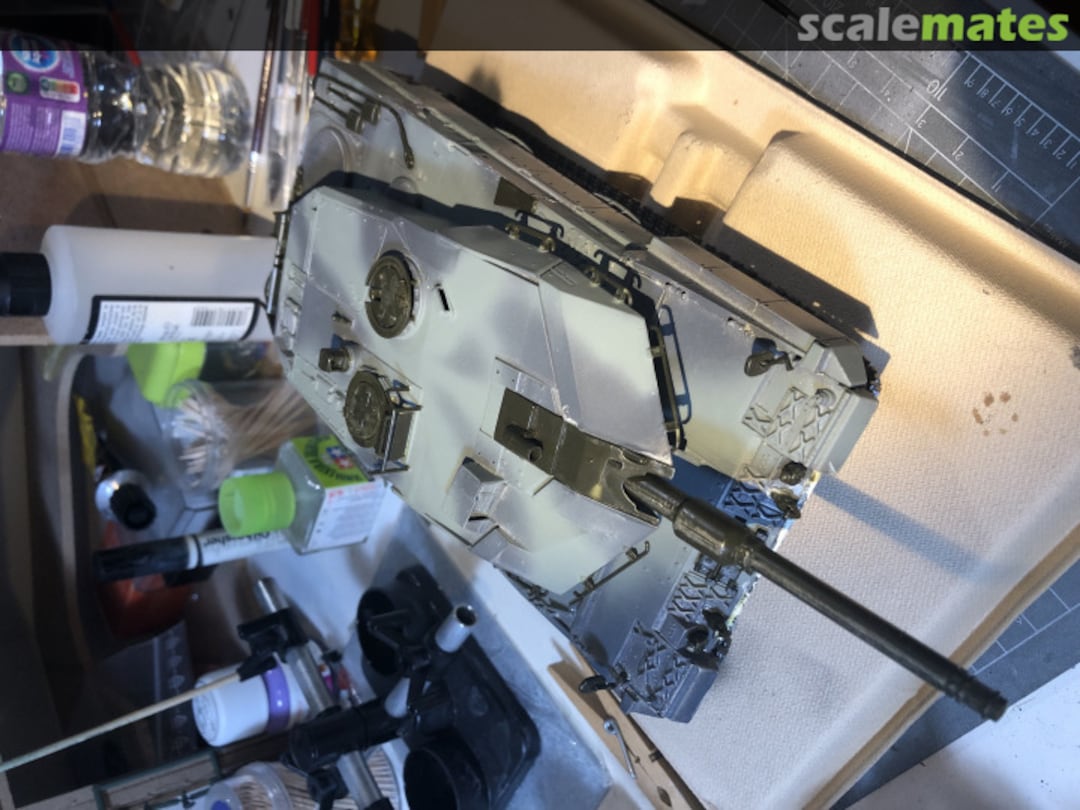 View album, image #1 View album, image #1