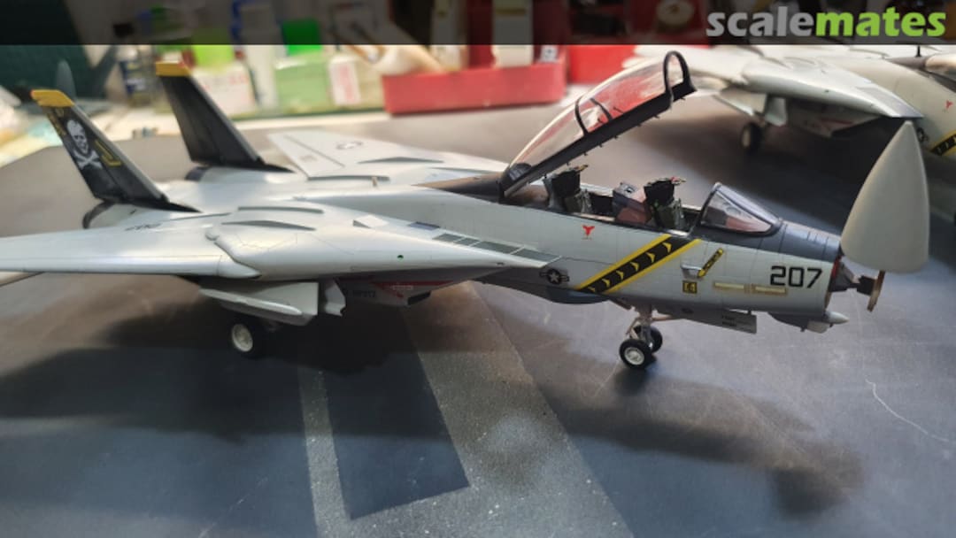 View album, image #1 View album, image #1