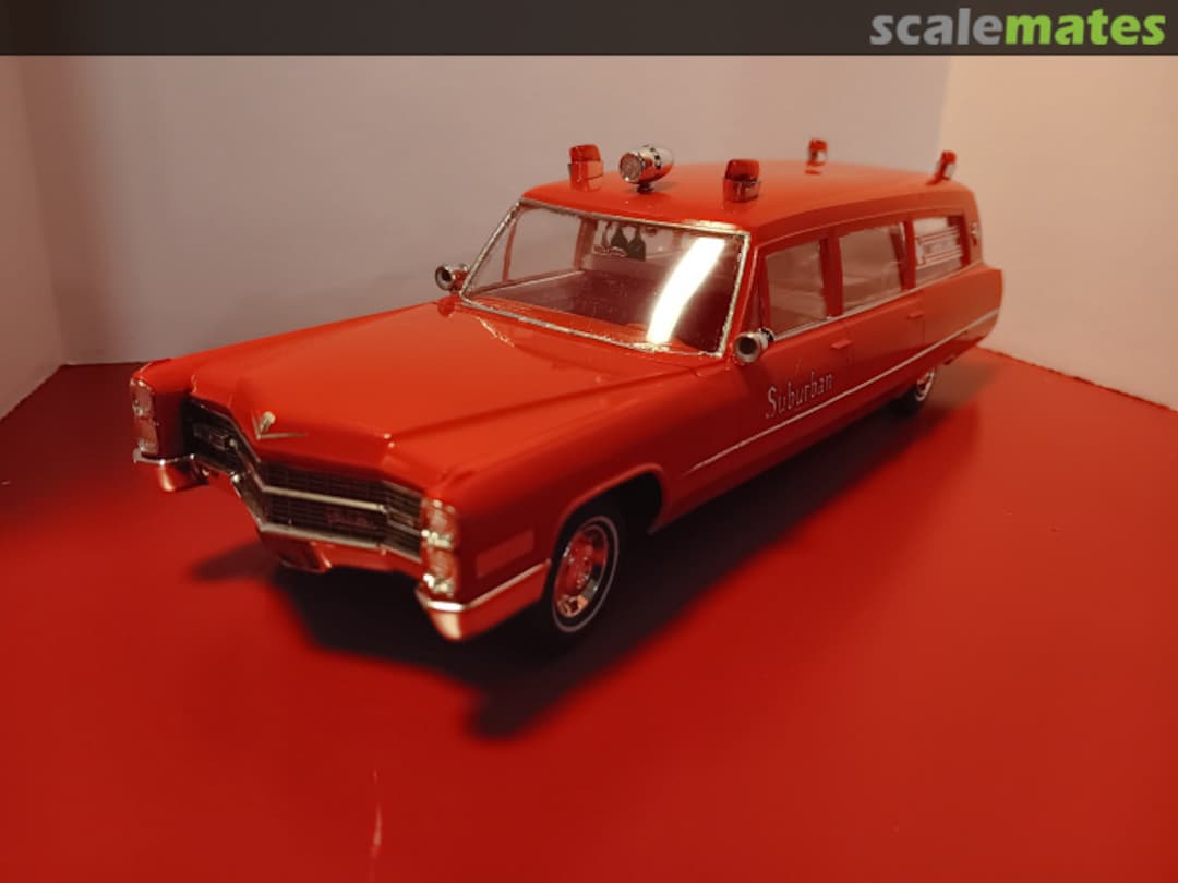 View album, image #1 View album, image #1