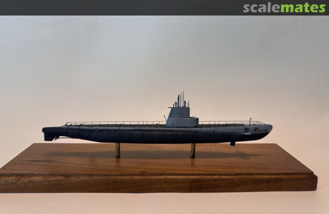 View album, image #1 View album, image #1