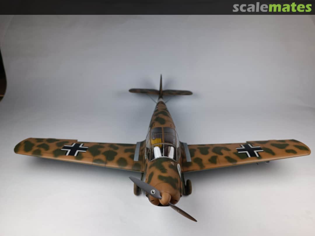 View album, image #1 View album, image #1