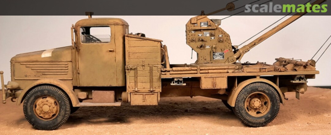 View album, image #7 View album, image #7