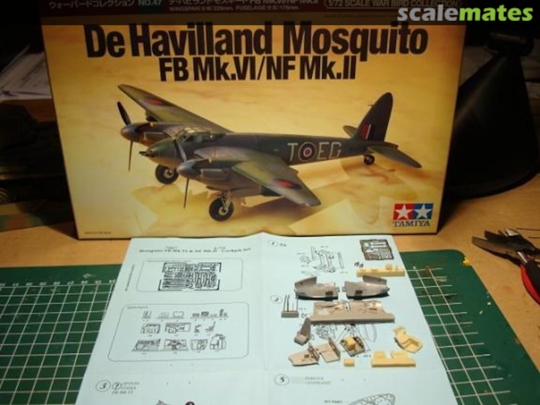 View album, image #1 View album, image #1