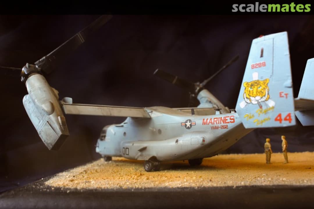 View album, image #1 View album, image #1