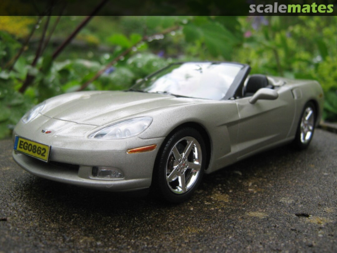 View album, image #1