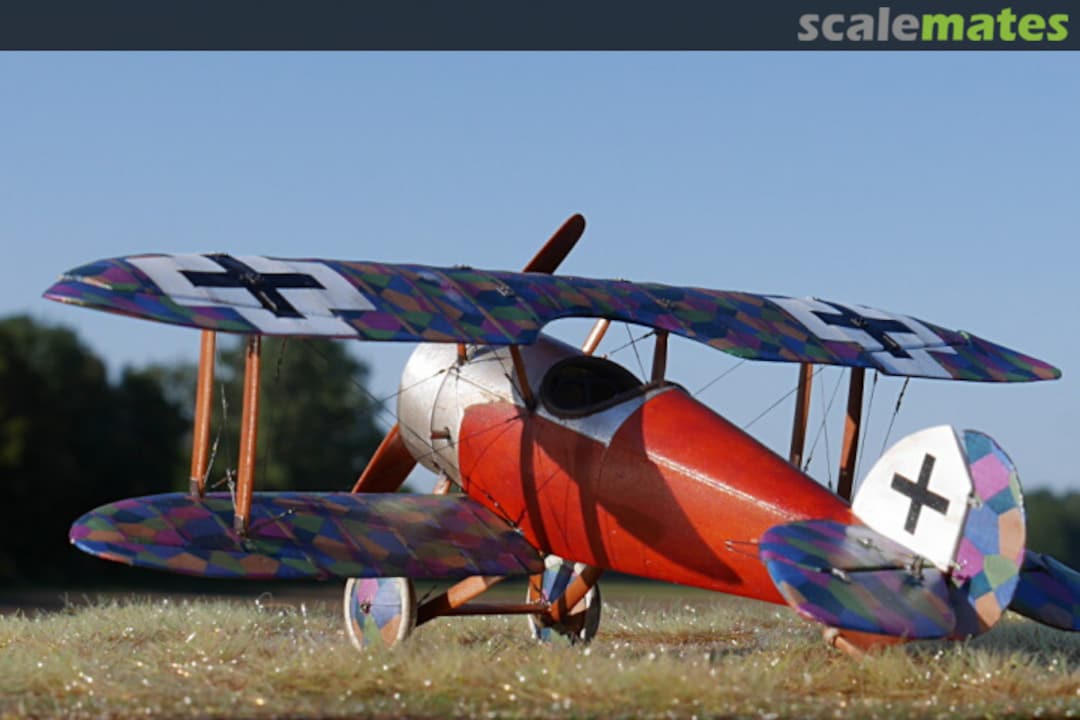 View album, image #15 View album, image #15