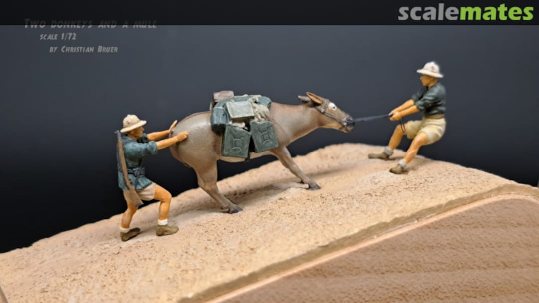 View album, image #6