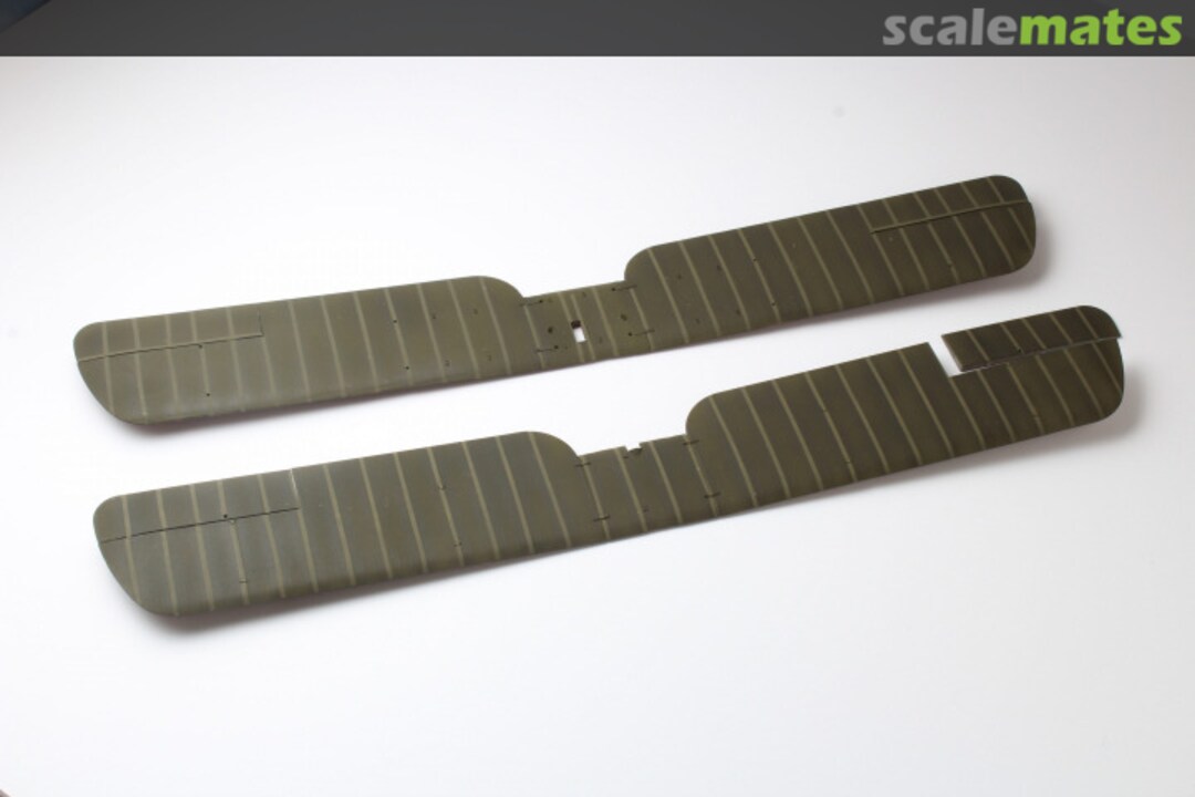 View album, image #8 View album, image #8