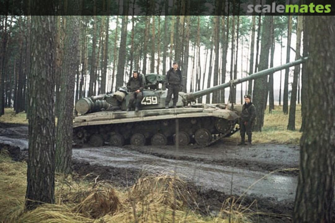 View album, image #1 View album, image #1