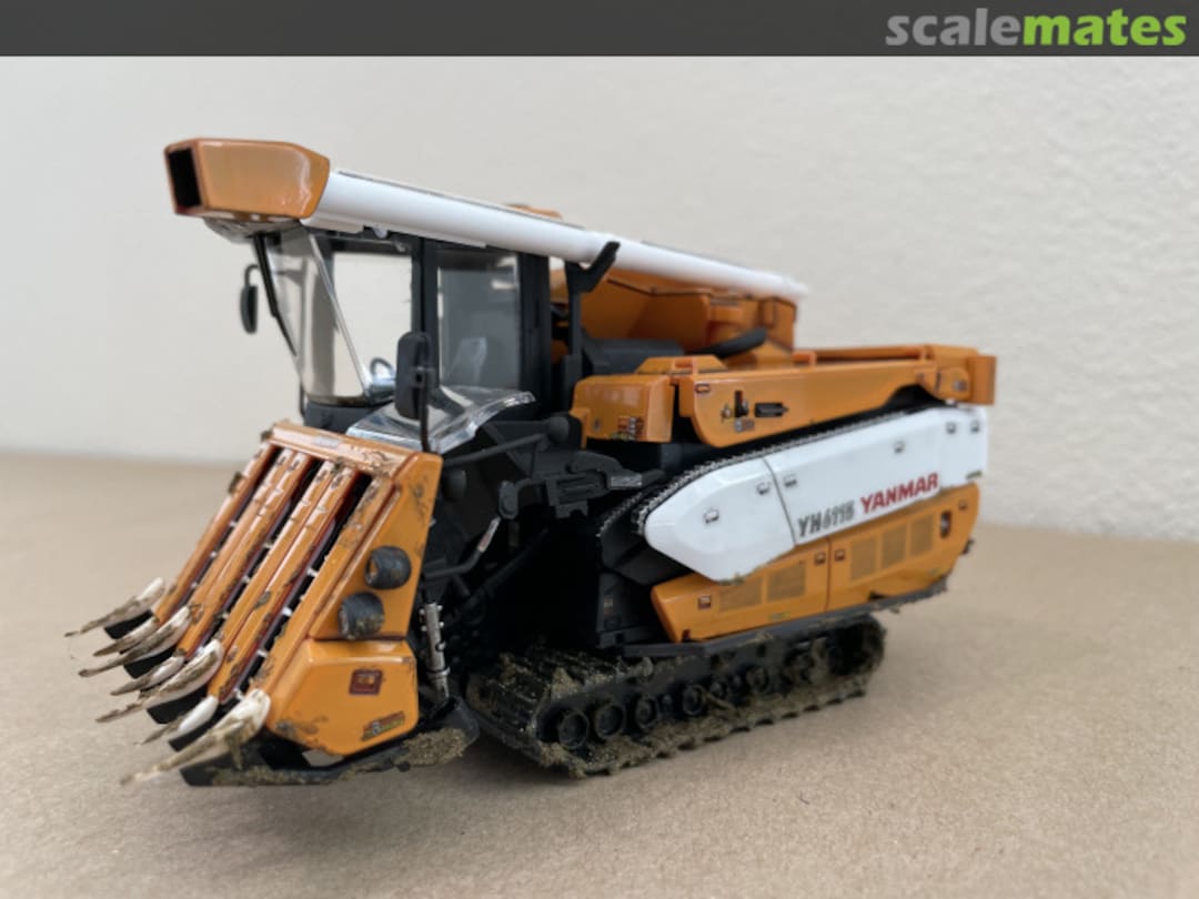 View album, image #7 View album, image #7