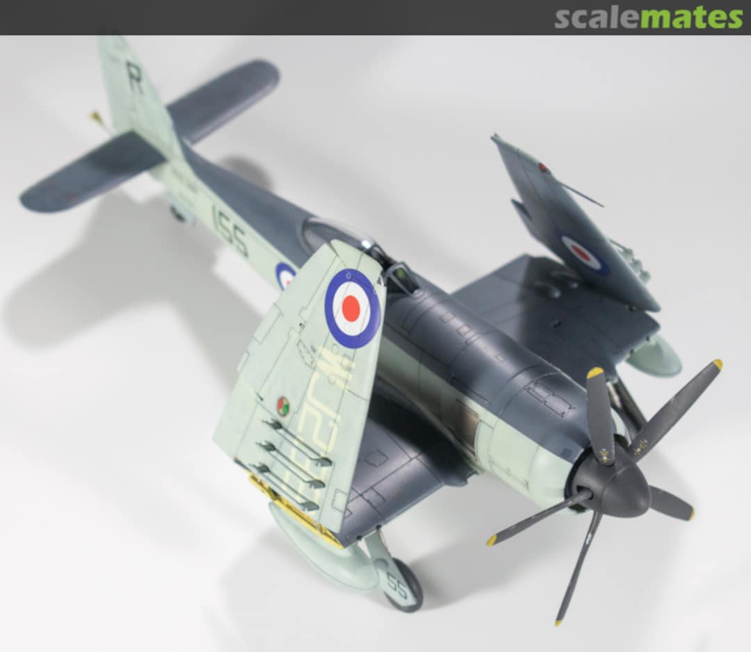 View album, image #1 View album, image #1