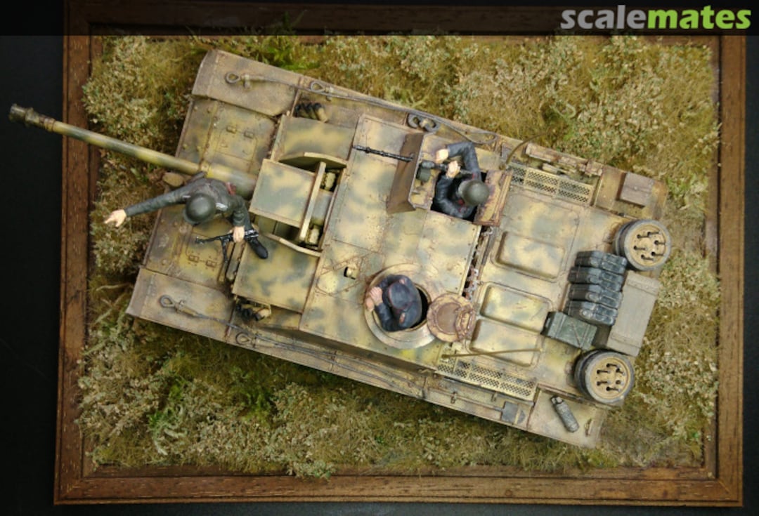 View album, image #1 View album, image #1