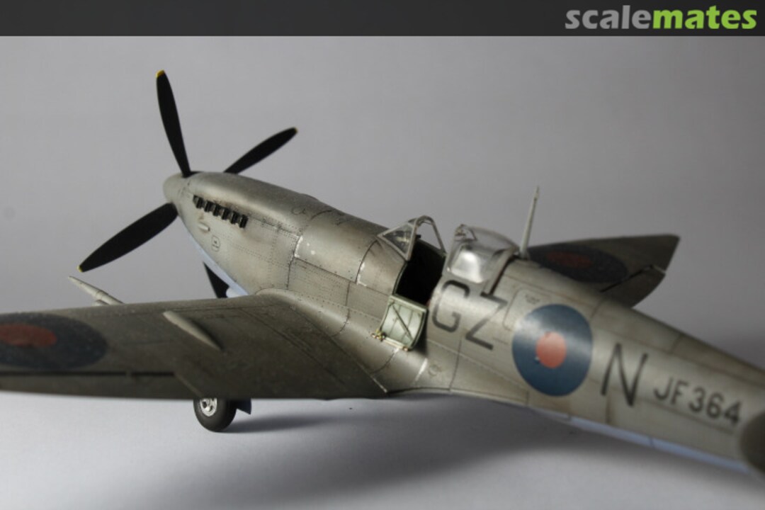 View album, image #1