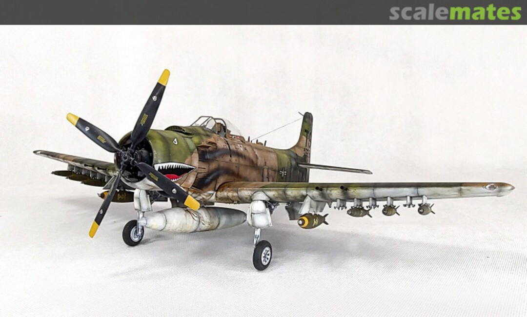 View album, image #1