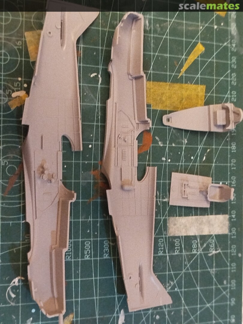 View album, image #1