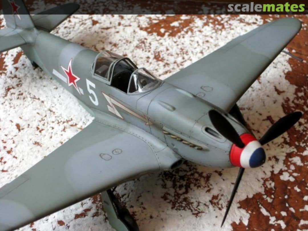 View album, image #3 View album, image #3