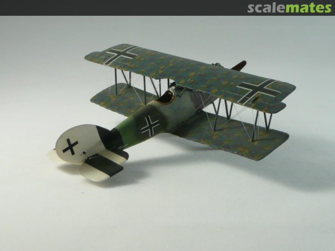 View album, image #1 View album, image #1