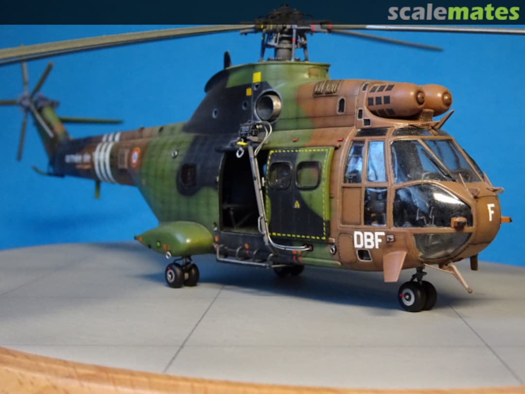 View album, image #22 View album, image #22