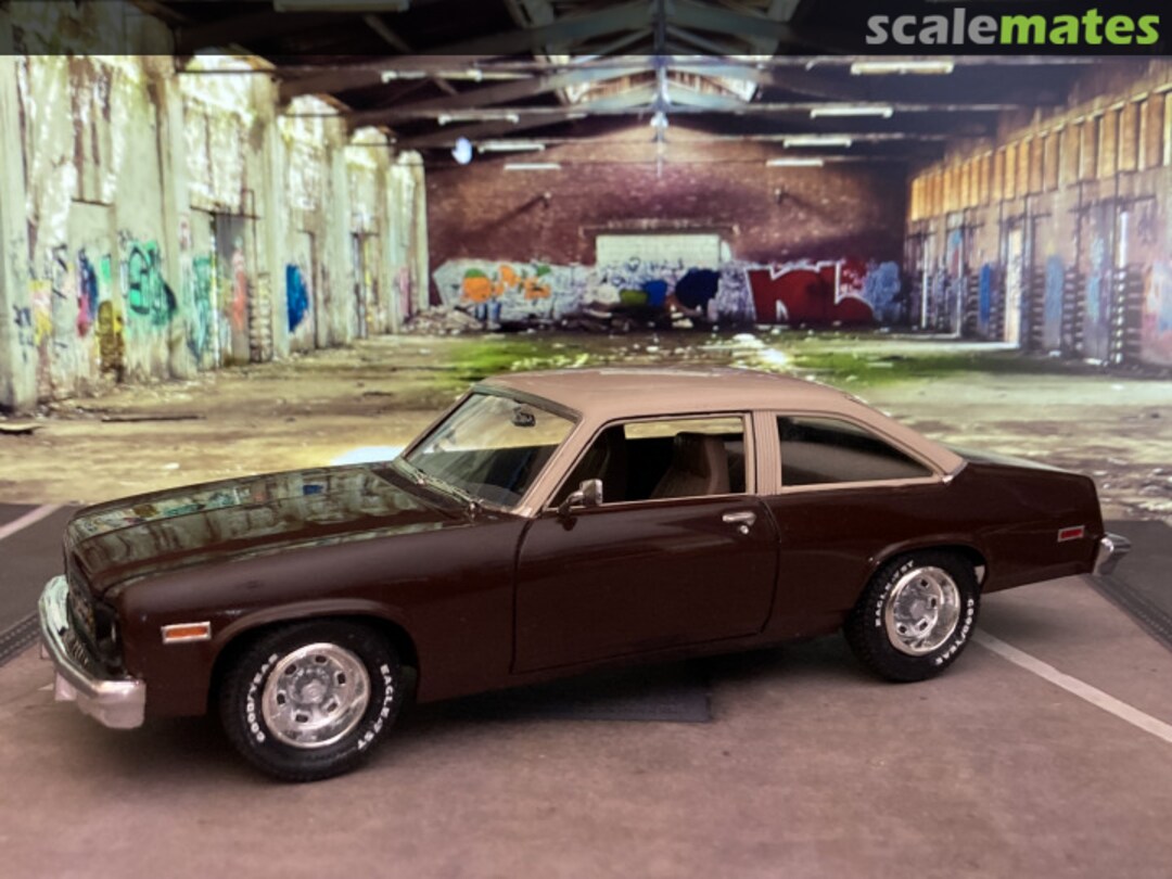 View album, image #1 View album, image #1