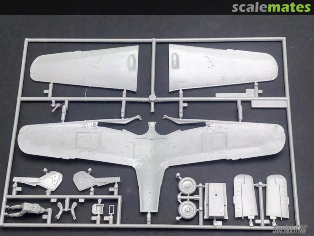 View album, image #1 View album, image #1