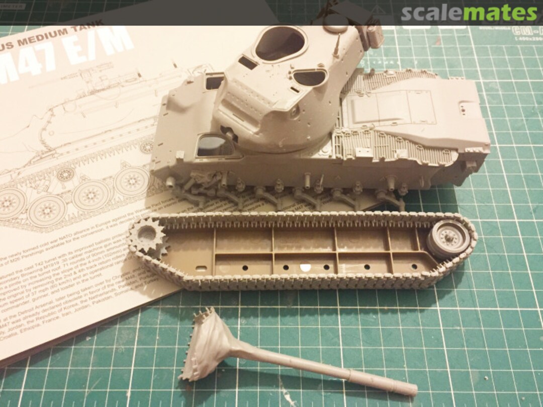 View album, image #1 View album, image #1