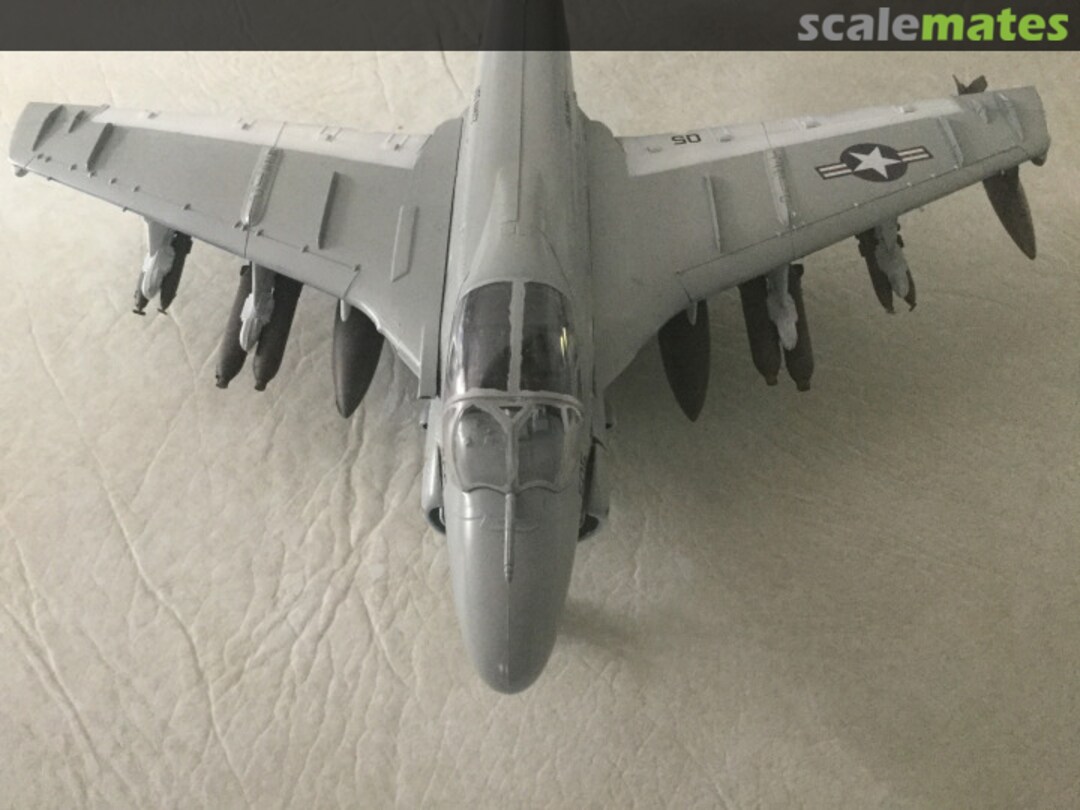 View album, image #1 View album, image #1