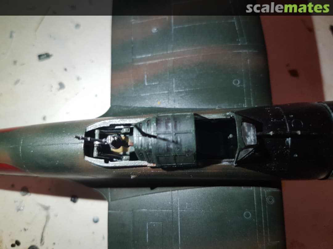 View album, image #1