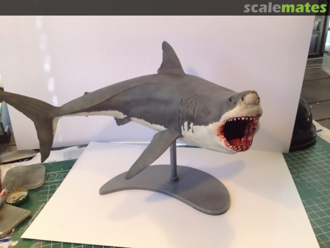 View album, image #1 View album, image #1