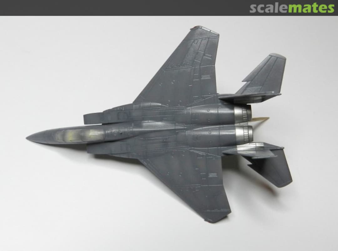 View album, image #1 View album, image #1