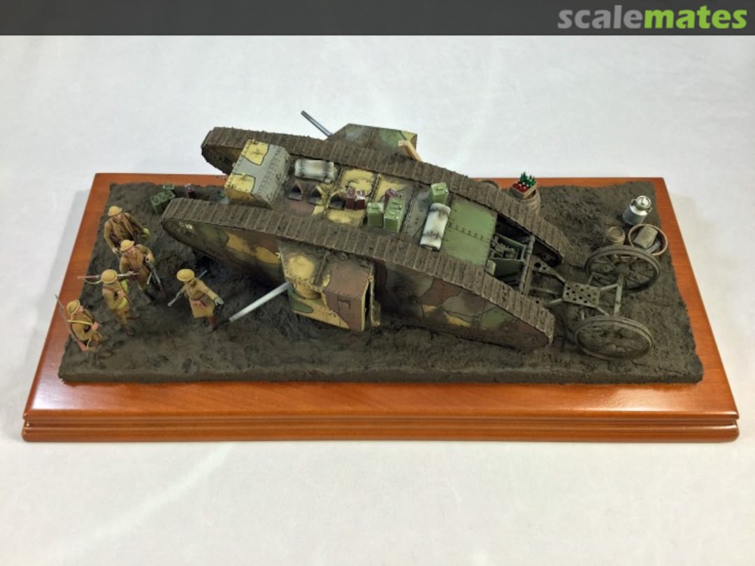 View album, image #1 View album, image #1