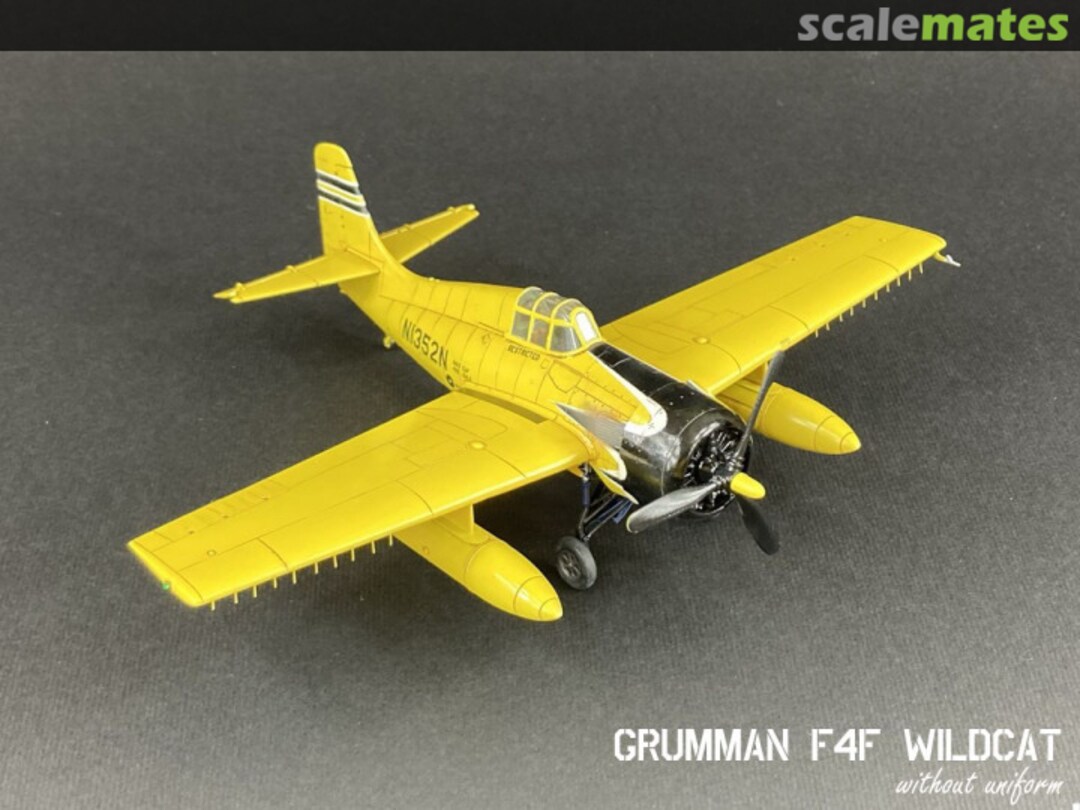 View album, image #1 View album, image #1