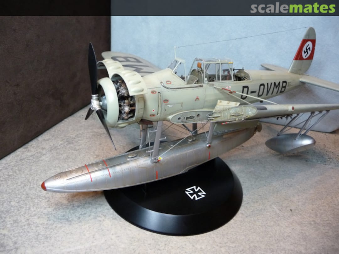 View album, image #3 View album, image #3