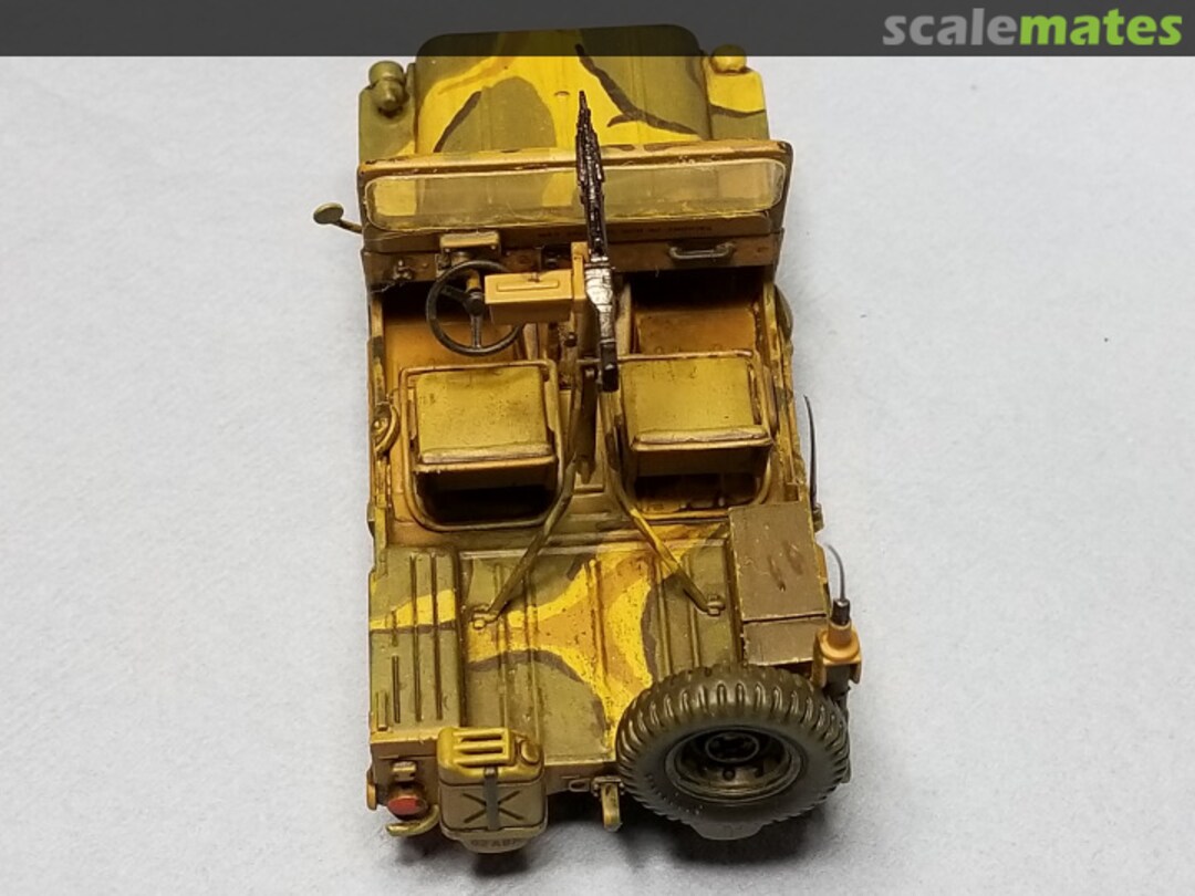 View album, image #1 View album, image #1