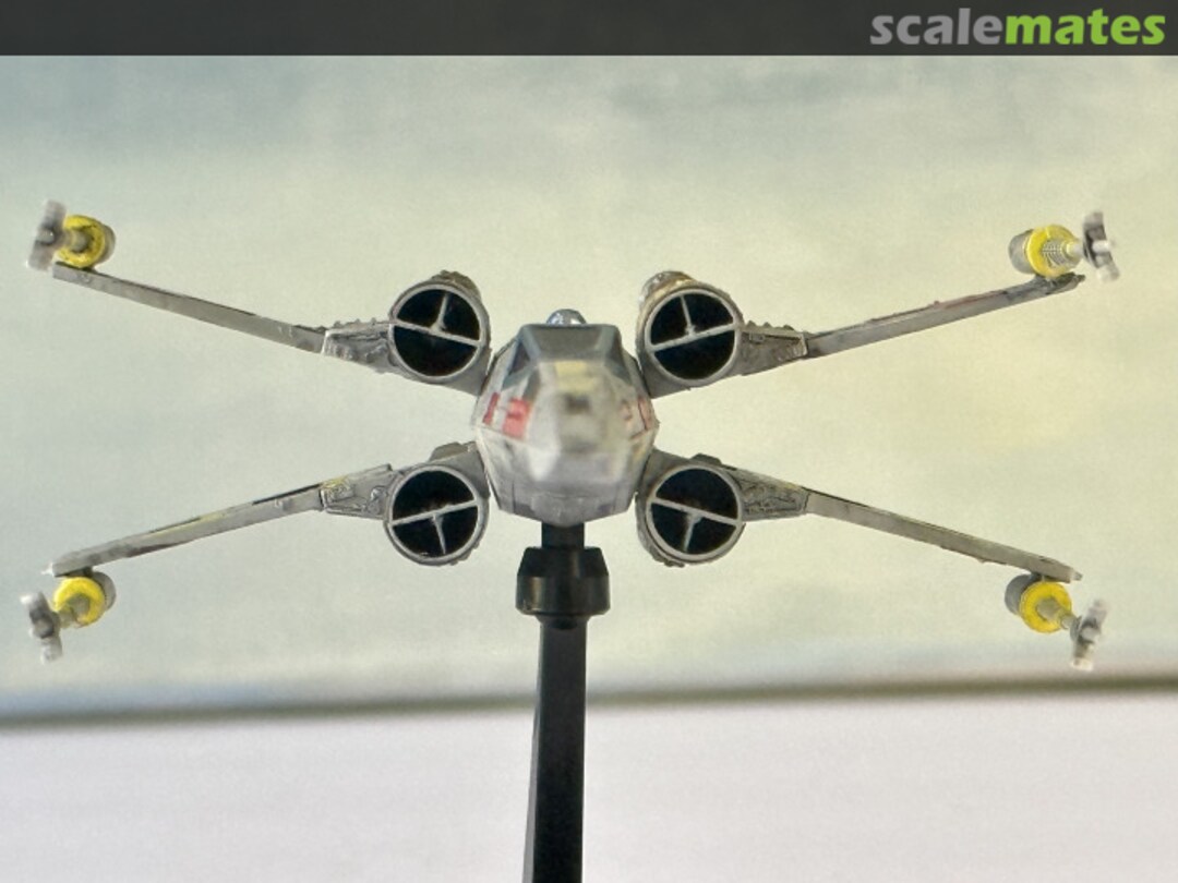 View album, image #1