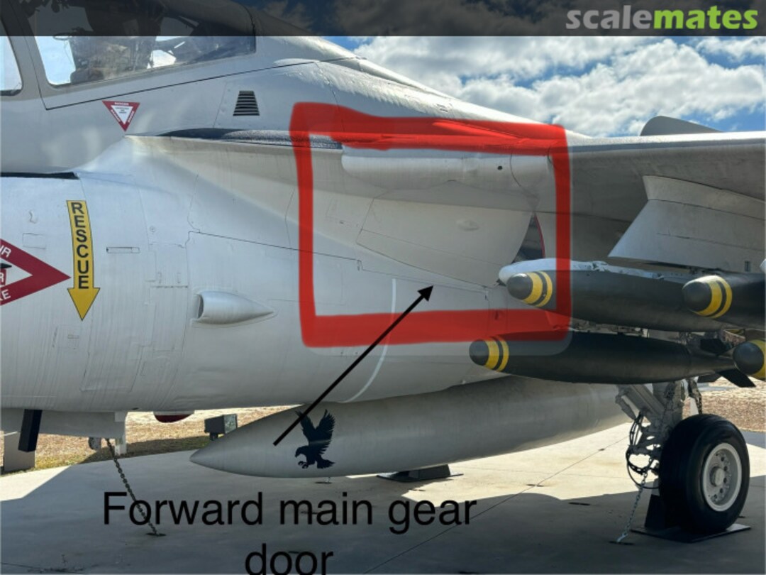 View album, image #1 View album, image #1