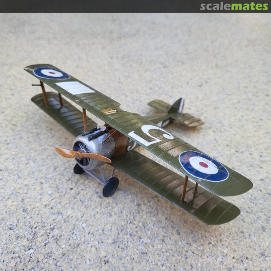 View album, image #1 View album, image #1