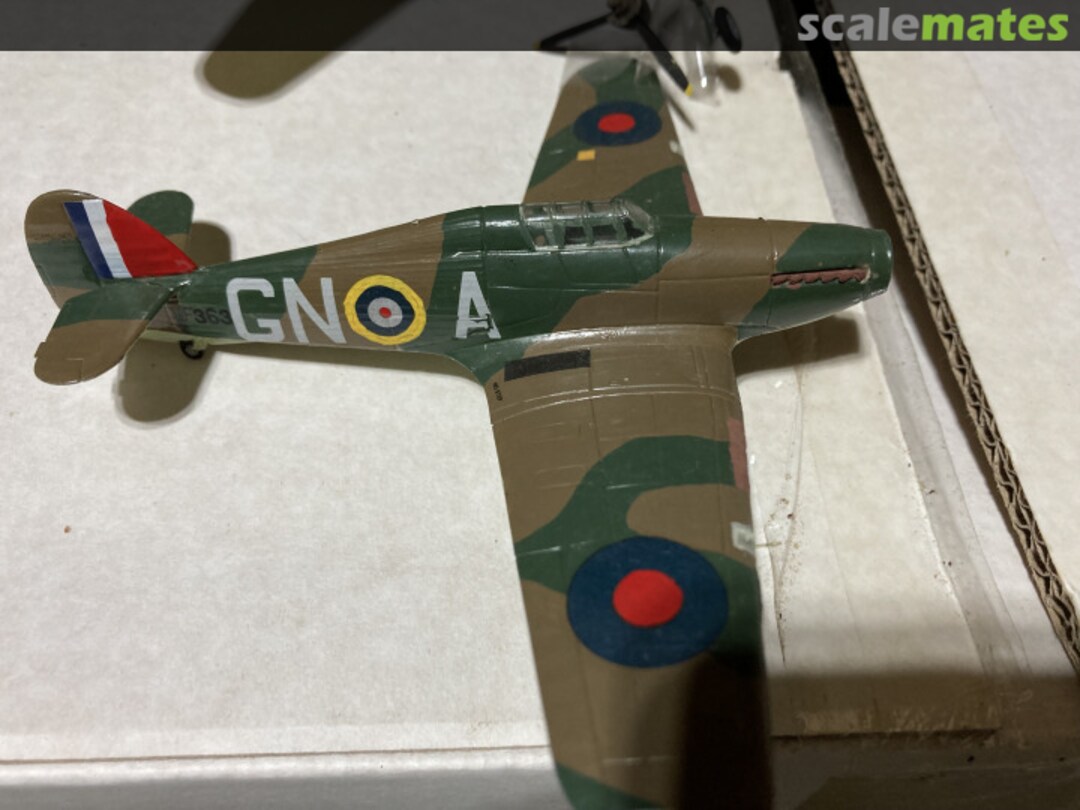 View album, image #1 View album, image #1