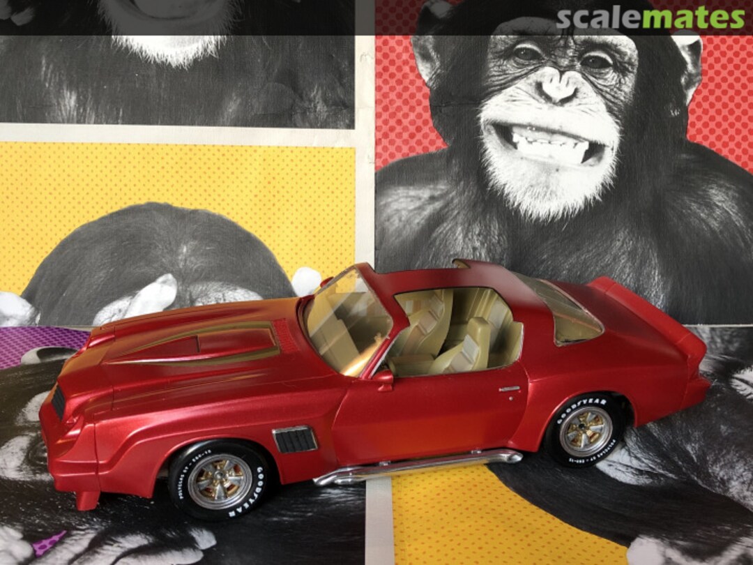 View album, image #1