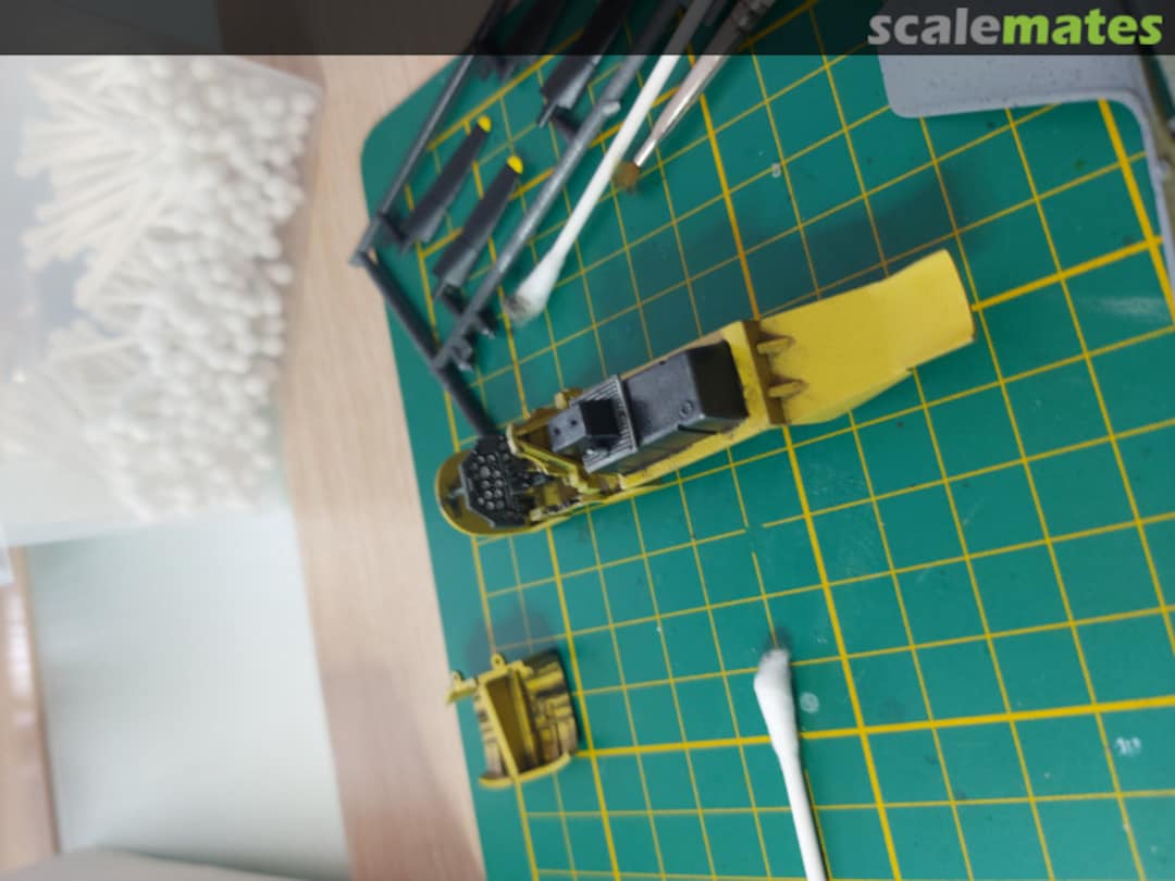 View album, image #1 View album, image #1