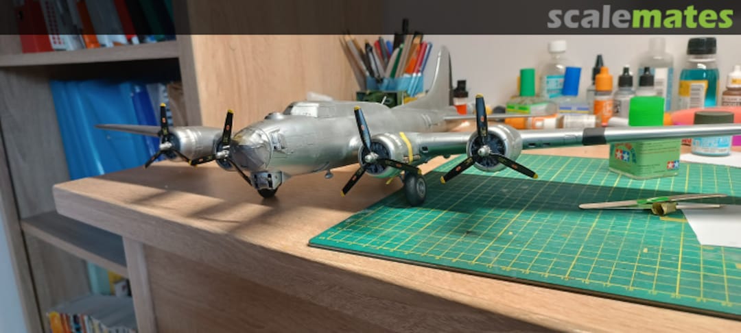 View album, image #20 View album, image #20