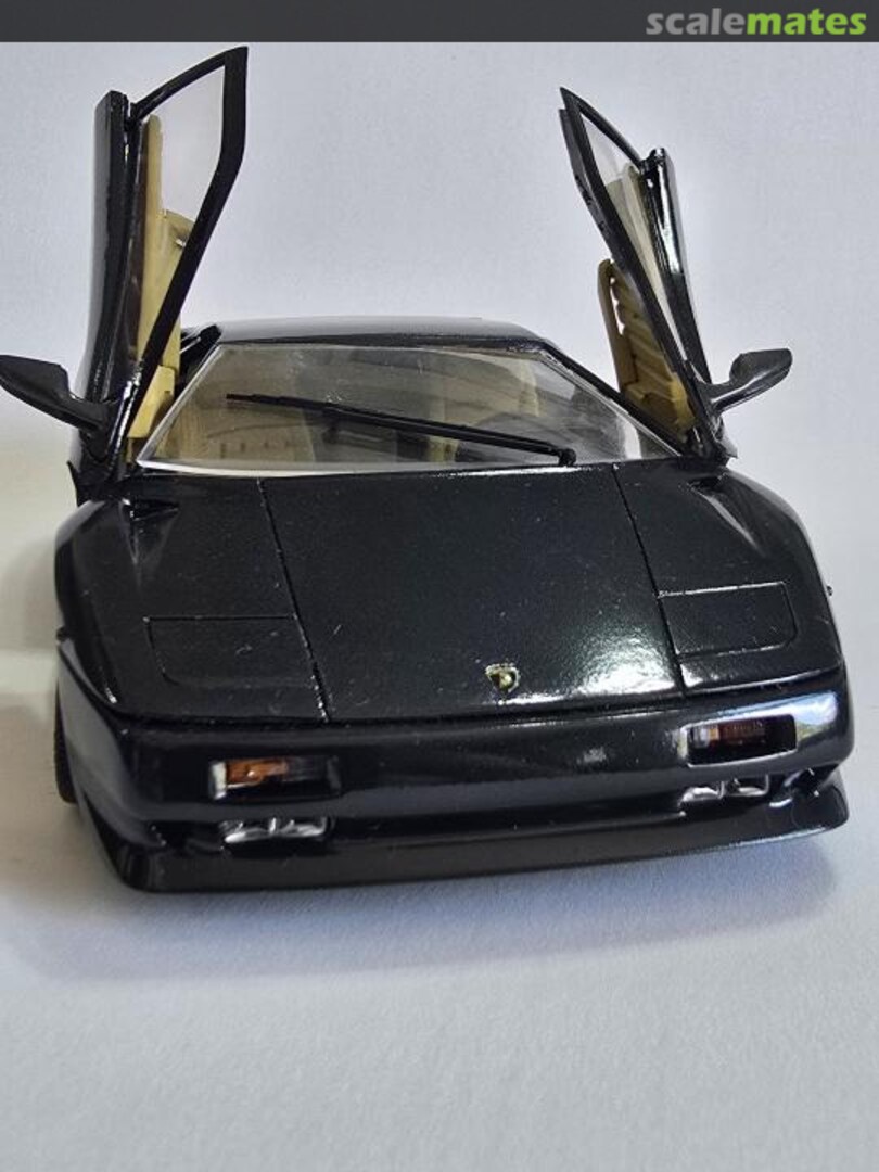 View album, image #1 View album, image #1