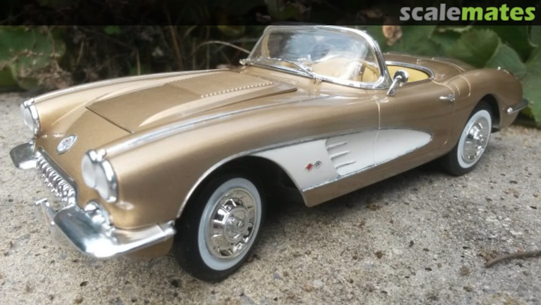 View album, image #1 View album, image #1