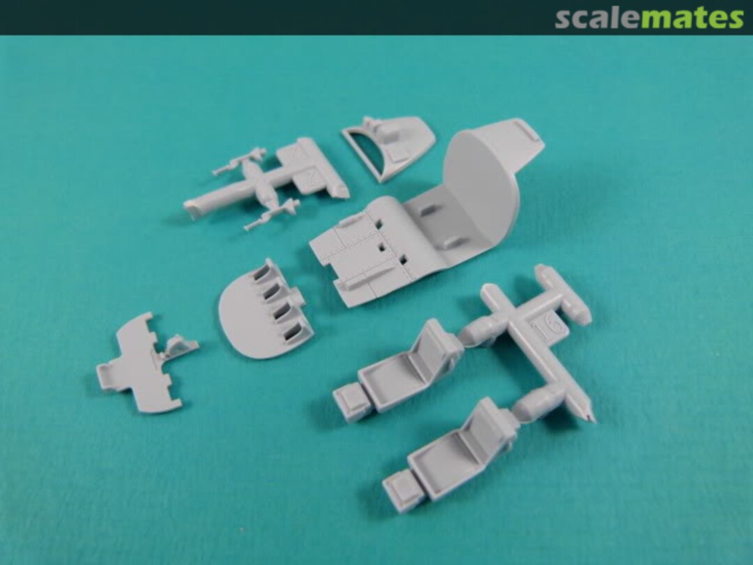 View album, image #1 View album, image #1