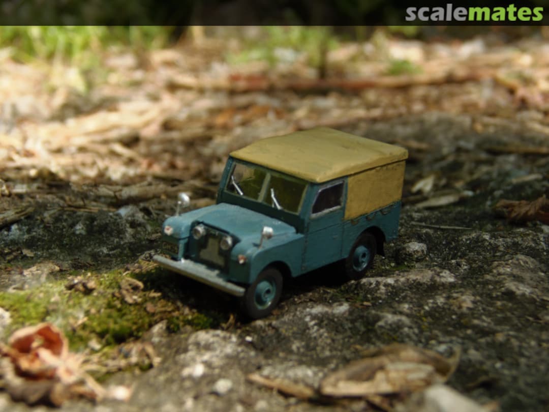 View album, image #1 View album, image #1