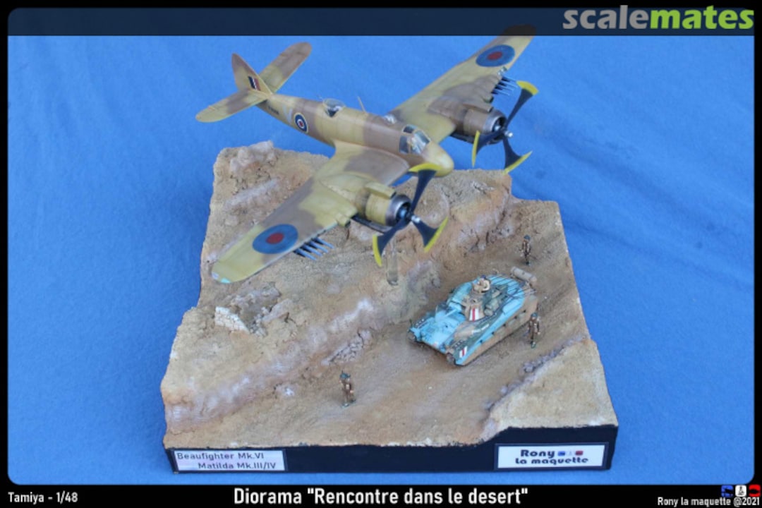 View album, image #45 View album, image #45